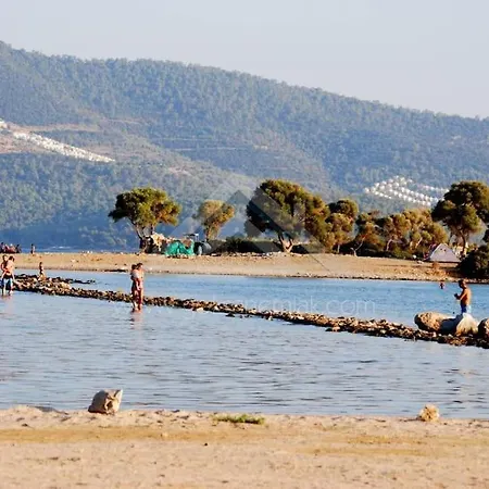 Akbuek Palace Apartment Didim